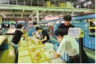 研究室配属2
